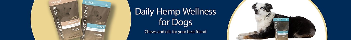Daily hemp wellness for dogs. Chews and oils for your best friend