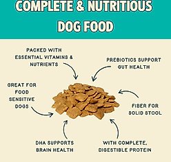 Jiminy's Cravin' Cricket Sensitive Stomach Dry Dog Food, 10-lb bag slide 2 of 7