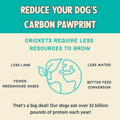 Show full view: Jiminy's Cravin' Cricket Sensitive Stomach Dry Dog Food, 10-lb bag slide 5 of 10