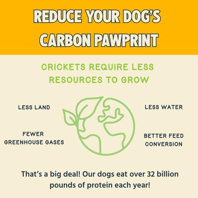 Show full view: Jiminy's Good Grub Allergy Relief & Healthy Skin & Coat Dry Dog Food, 24-lb bag slide 5 of 9