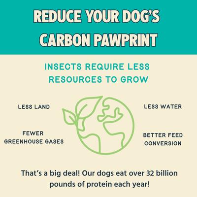 Show full view: Jiminy's Dog Dental Chew Treat, X-Small, 38 count slide 5 of 8