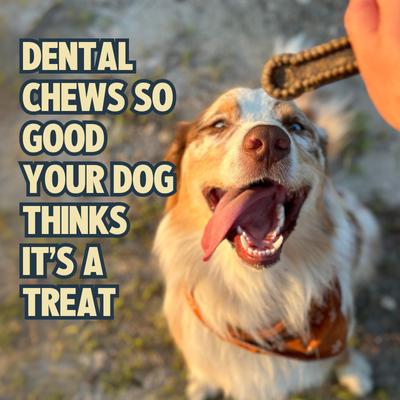 Show full view: Jiminy's Dog Dental Chew Treat, X-Small, 38 count slide 6 of 8