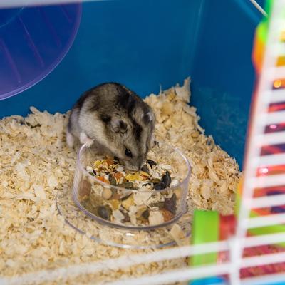 Show full view: PawHut 5-Tier Hamster Cage, Blue slide 9 of 10