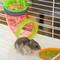 Show in main carousel: PawHut 5-Tier Hamster Cage, Light Blue slide 9 of 10