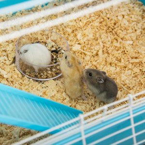 PawHut 5-Tier Hamster Cage, Light Blue