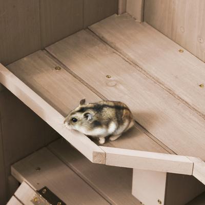 Show full view: PawHut Wooden Playground Hamster Cage slide 9 of 9