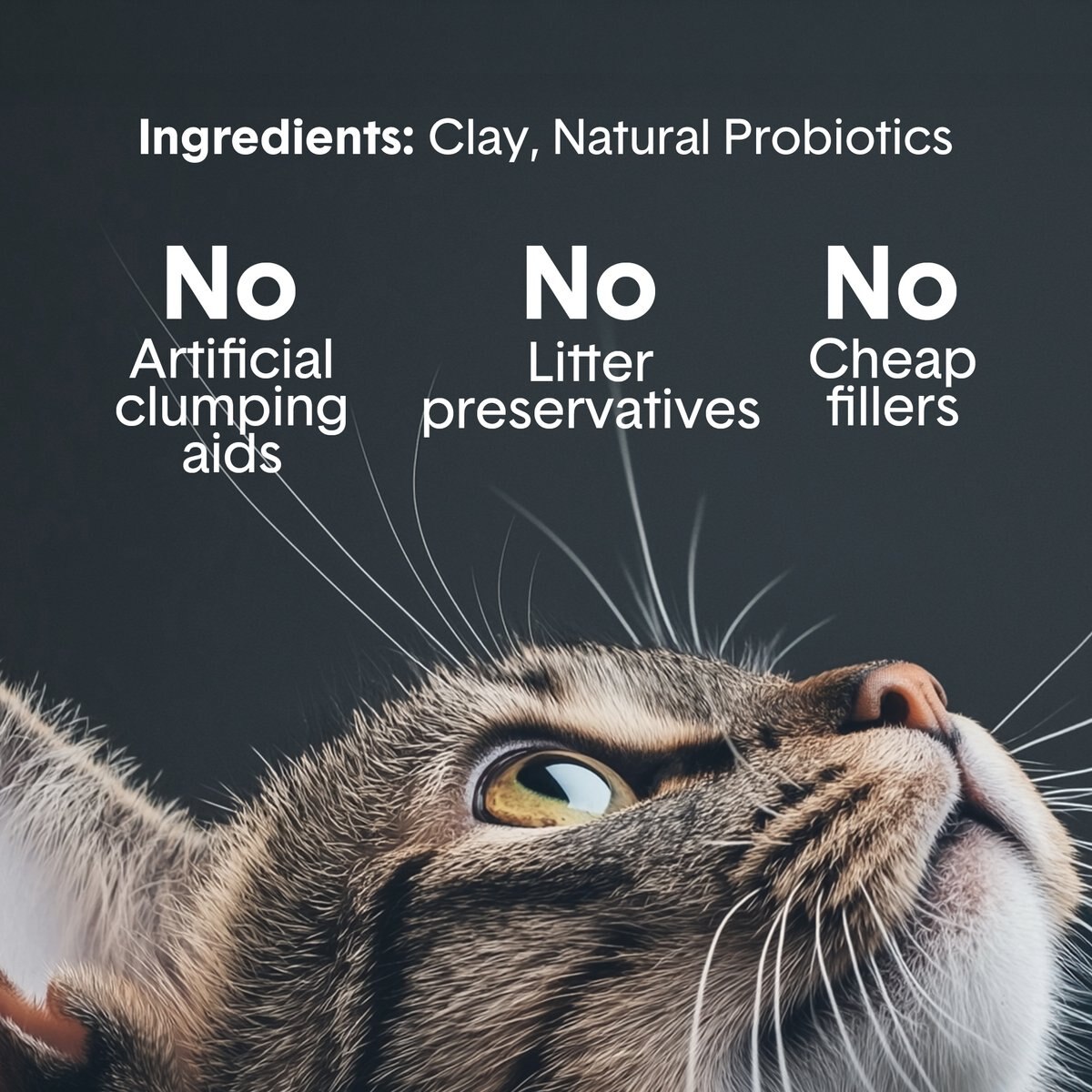 View of BOXIECAT Self-Cleaning Probiotic Clumping Clay Cat & Kitty Litter, 16 ...