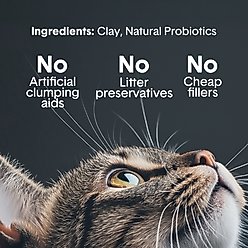 Boxiecat Self-Cleaning Probiotic Clumping Clay Cat & Kitty Litter, 16-lb bag slide 2 of 5