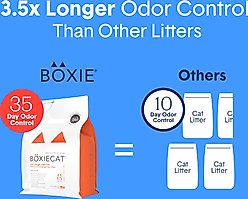 Boxiecat Extra Strength Odor Control Clumping Clay Cat & Kitty Litter, 40-lb bag slide 2 of 6
