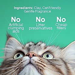 Boxiecat Gently Scented Premium Clumping Clay Cat & Kitty Litter, 28-lb bag slide 2 of 6