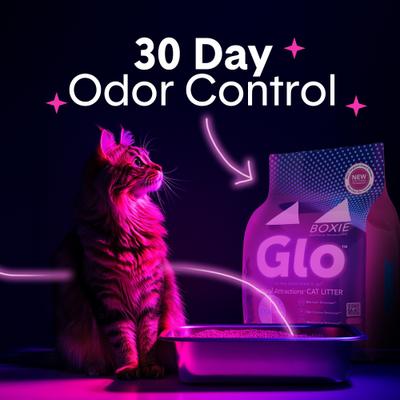 Show full view: Boxiecat Glo Natural Stress-Relief Clumping Clay Cat & Kitty Litter with UV Attractant, 16-lb bag slide 3 of 11