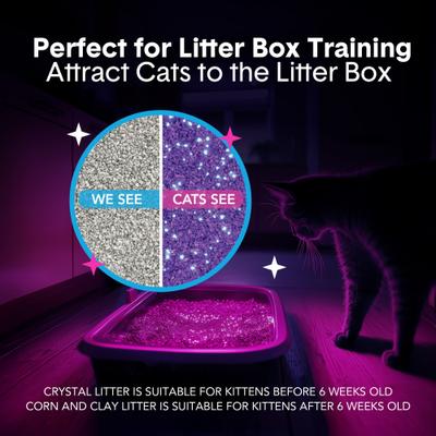 Show full view: Boxiecat Glo Natural Stress-Relief Clumping Clay Cat & Kitty Litter with UV Attractant, 16-lb bag slide 8 of 11