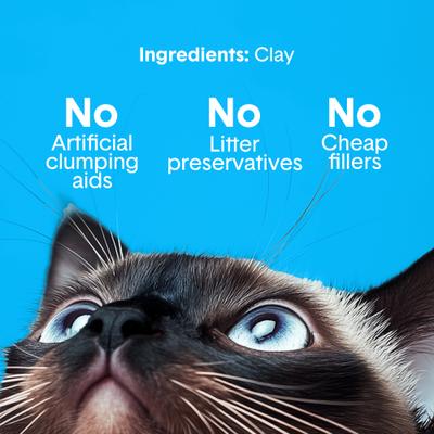 Show full view: Boxiecat Unscented Odor Control Clumping Clay Cat & Kitty Litter, 16-lb bag slide 5 of 10