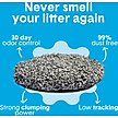 Show in main carousel: Boxiecat Unscented Odor Control Clumping Clay Cat & Kitty Litter, 28-lb bag slide 4 of 10