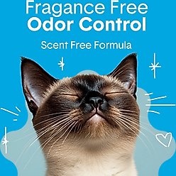 Boxiecat Unscented Odor Control Clumping Clay Cat & Kitty Litter, 40-lb bag slide 2 of 6