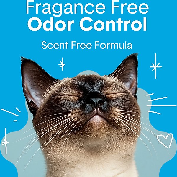Show full view: Boxiecat Unscented Odor Control Clumping Clay Cat & Kitty Litter, 28-lb bag slide 3 of 10