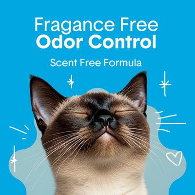 Show full view: Boxiecat Unscented Odor Control Clumping Clay Cat & Kitty Litter, 16-lb bag slide 3 of 10