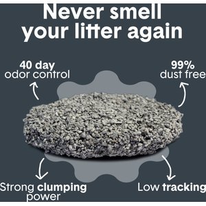 Boxiecat Self-Cleaning Probiotic Clumping Clay Cat & Kitty Litter, 40-lb bag