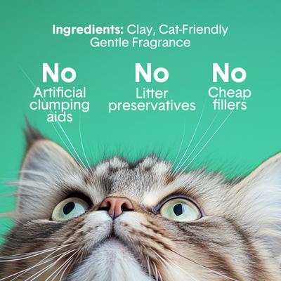 Show full view: Boxiecat Gently Scented Premium Clumping Clay Cat & Kitty Litter, 40-lb bag slide 5 of 10