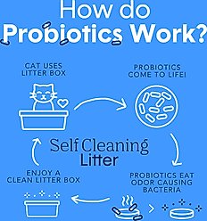 Boxiecat Self-Cleaning Probiotic Clumping Clay Cat & Kitty Litter, 56-lb bundle slide 2 of 5