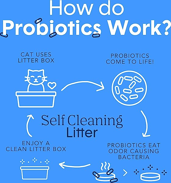 Boxiecat Self-Cleaning Probiotic Clumping Clay Cat & Kitty Litter