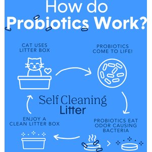 Boxiecat Self-Cleaning Probiotic Clumping Clay Cat & Kitty Litter, 40-lb bag