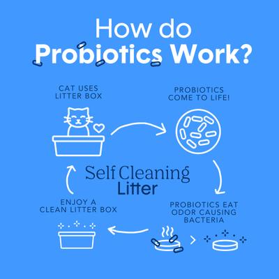 Show full view: Boxiecat Self-Cleaning Probiotic Clumping Clay Cat & Kitty Litter, 28-lb bag slide 6 of 9