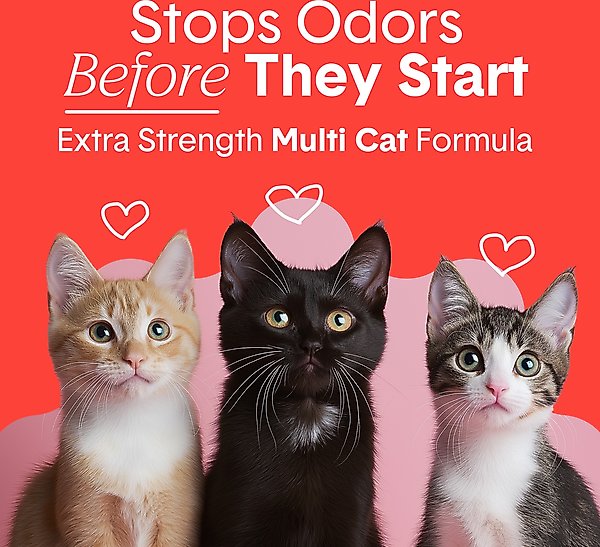 Show full view: Boxiecat Extra Strength Odor Control Clumping Clay Cat & Kitty Litter, 16-lb bag slide 3 of 10