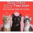 Show in main carousel: Boxiecat Extra Strength Odor Control Clumping Clay Cat & Kitty Litter, 16-lb bag slide 3 of 10