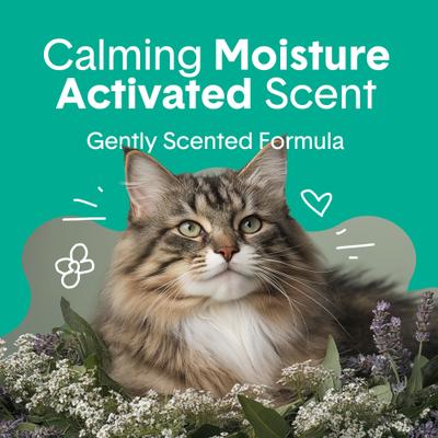 Show full view: Boxiecat Gently Scented Premium Clumping Clay Cat & Kitty Litter, 40-lb bag slide 3 of 10