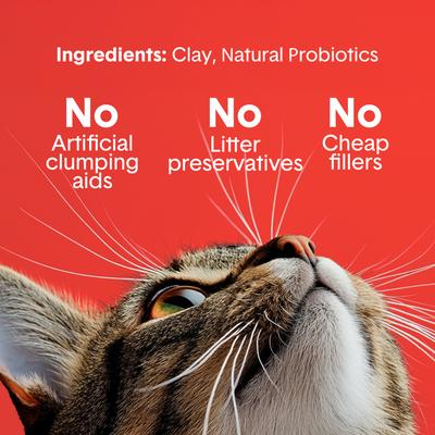 Show full view: Boxiecat Extra Strength Odor Control Clumping Clay Cat & Kitty Litter, 28-lb bag slide 5 of 10