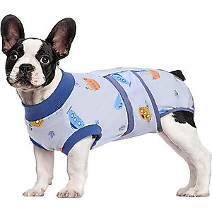Kuoser Dog Recovery Suit, Blue, Medium