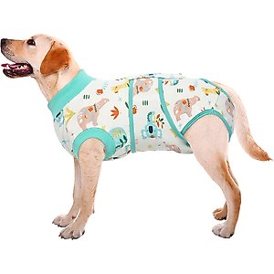 Kuoser Dog Recovery Suit, Green, Large