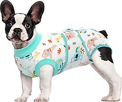 Kuoser Dog Recovery Suit, Green, Small