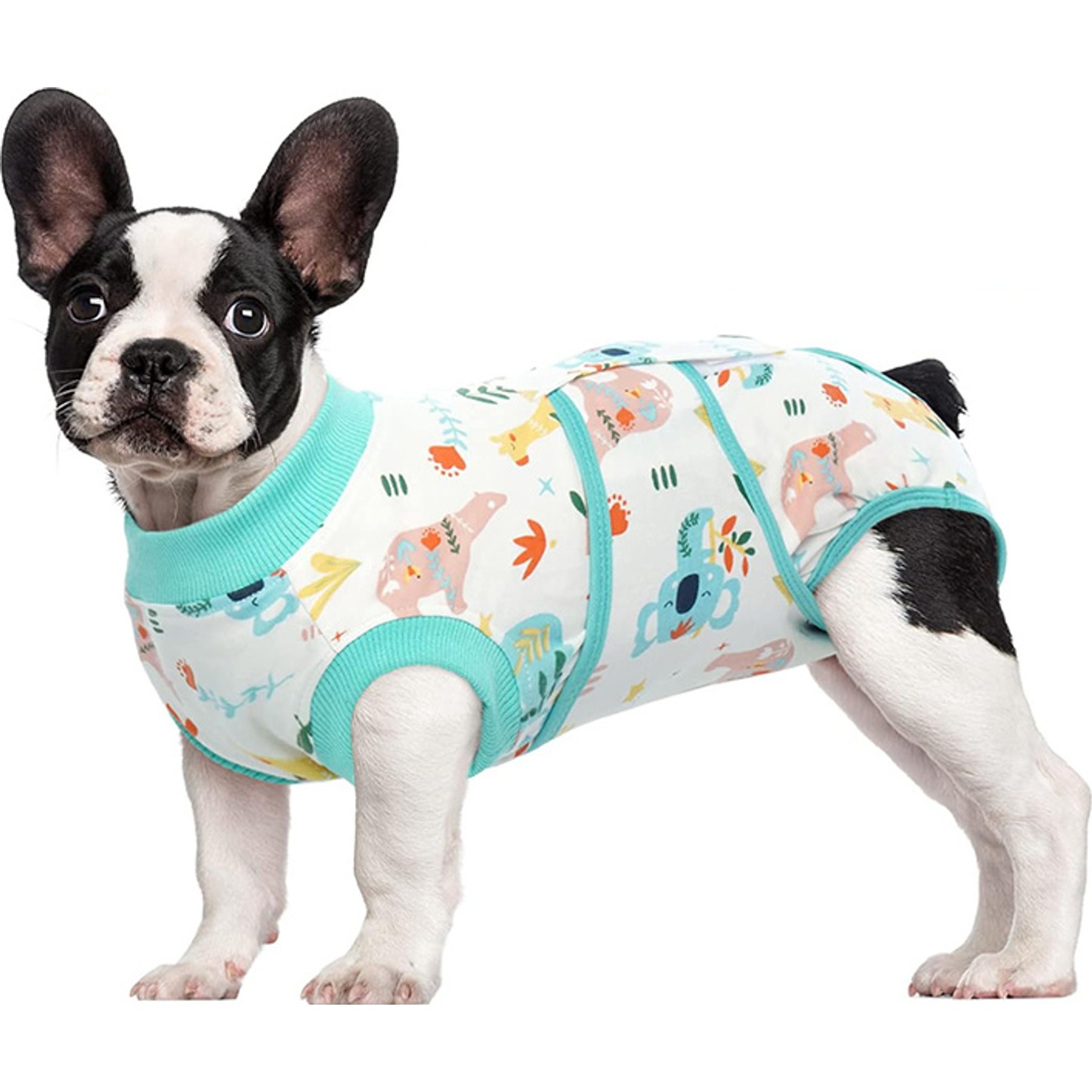 Kuoser Animal Pattern Dog Recovery Suit, X-Small