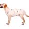 Show in main carousel: Kuoser Dog Recovery Suit, Light Pink, XX-Large slide 1 of 7