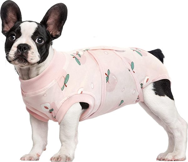 Show full view: Kuoser Dog Recovery Suit, Light Pink, Medium slide 1 of 7