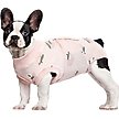 Show in main carousel: Kuoser Dog Recovery Suit, Light Pink, Medium slide 1 of 7