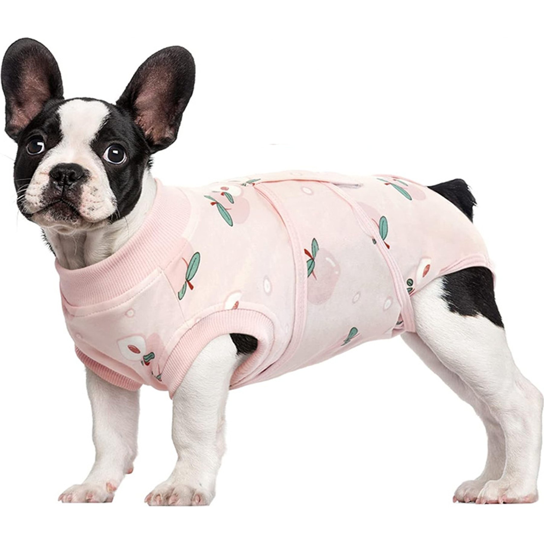 Kuoser Light Peach Pattern Dog Recovery Suit, Small
