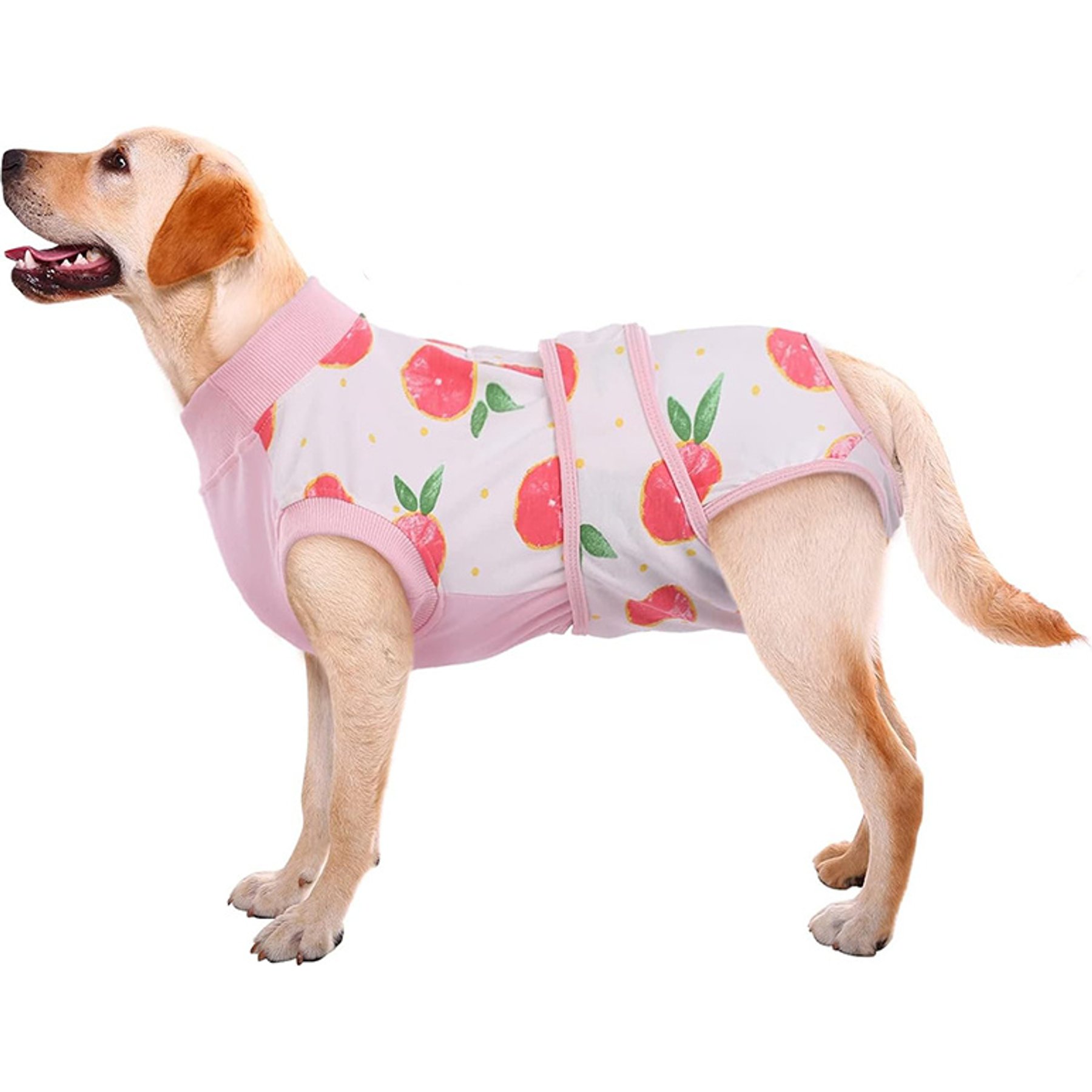 Kuoser Peach Pattern Dog Recovery Suit, Large