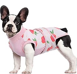 Kuoser Dog Recovery Suit, Pink, X-Small slide 1 of 7