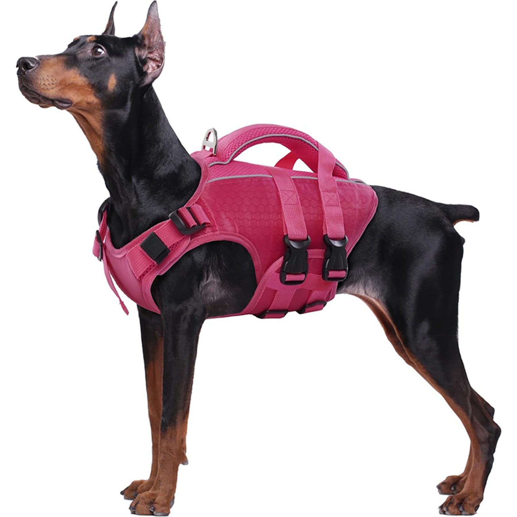 Kuoser Double Handle Dog Life Jacket, RoseRed, X-Large