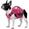 Show in main carousel: Kuoser Dog Life Jacket, RoseRed, Medium slide 1 of 9