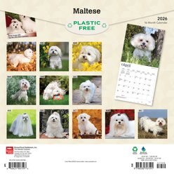 Maltese 2026 Square Flap Wall Calendar slide 2 of 4