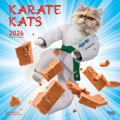 Show full view: Karate Kats 2026 Square Flap Wall Calendar slide 1 of 4
