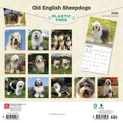 Old English Sheepdogs 2026 Square Flap Wall Calendar slide 2 of 4