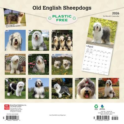 Show full view: Old English Sheepdogs 2026 Square Flap Wall Calendar slide 2 of 4