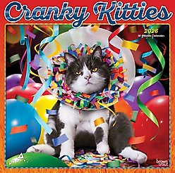 Avanti Cranky Kitties 2026 Square Flap Foil Wall Calendar slide 1 of 4