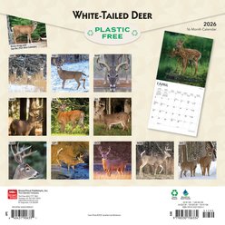 White Tailed Deer 2026 Square Flap Wall Calendar slide 2 of 4