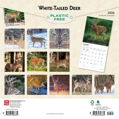 Show full view: White Tailed Deer 2026 Square Flap Wall Calendar slide 2 of 4